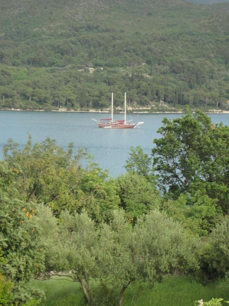 Guest House Pavkovic สลาโน ภายนอก รูปภาพ